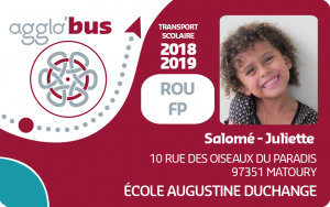 carte scolaire agglo bus